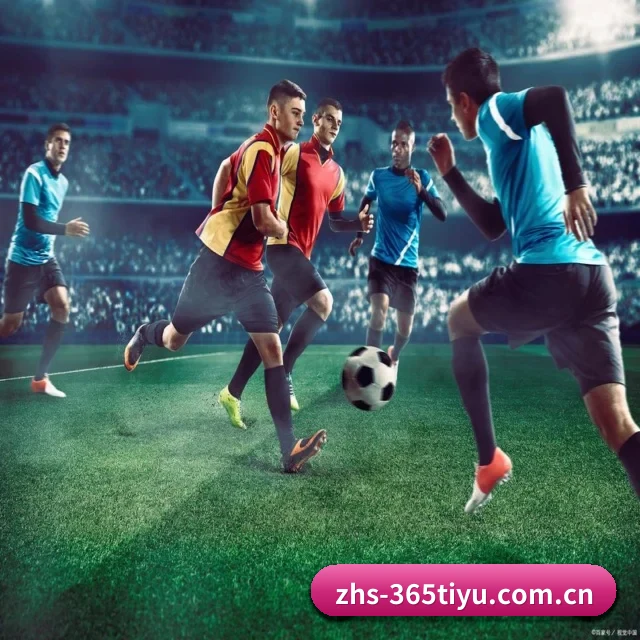 365体育 APP
